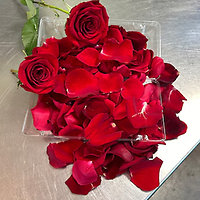 Brighter Days Bouquet